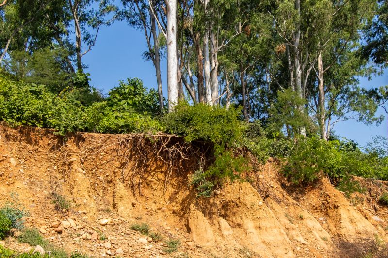 Soil Erosion